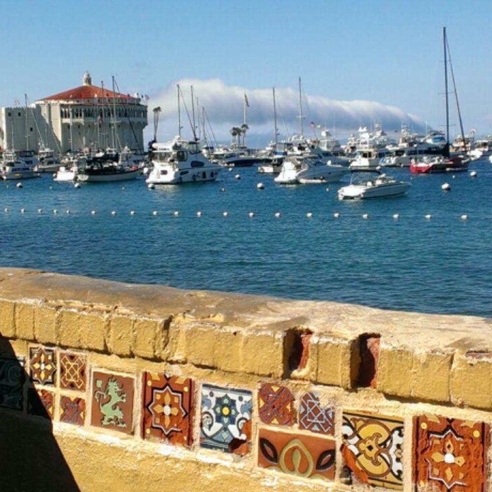 Meet your Posher, Maureen